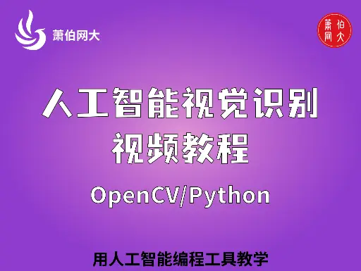 2025年最新人工智能视觉识别教程